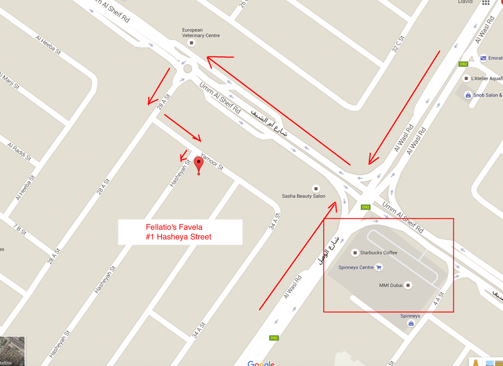 FellatiosFavela-Zoom